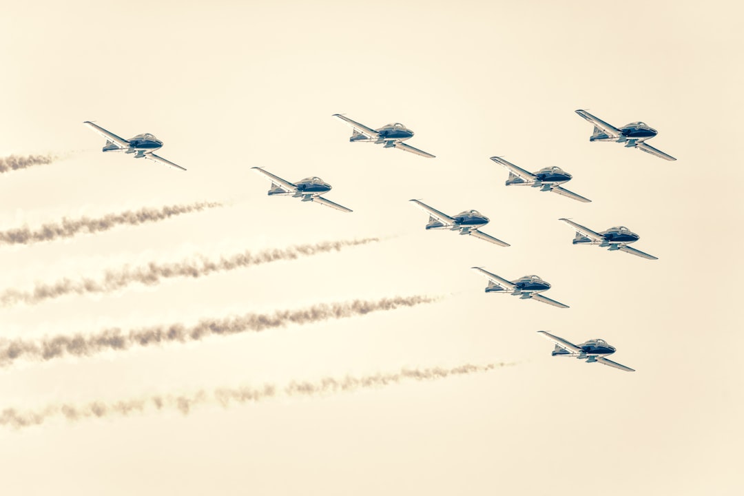 Die Liebe von Jeff Goldblum: Seine Ehepartnerin im Rampenlicht