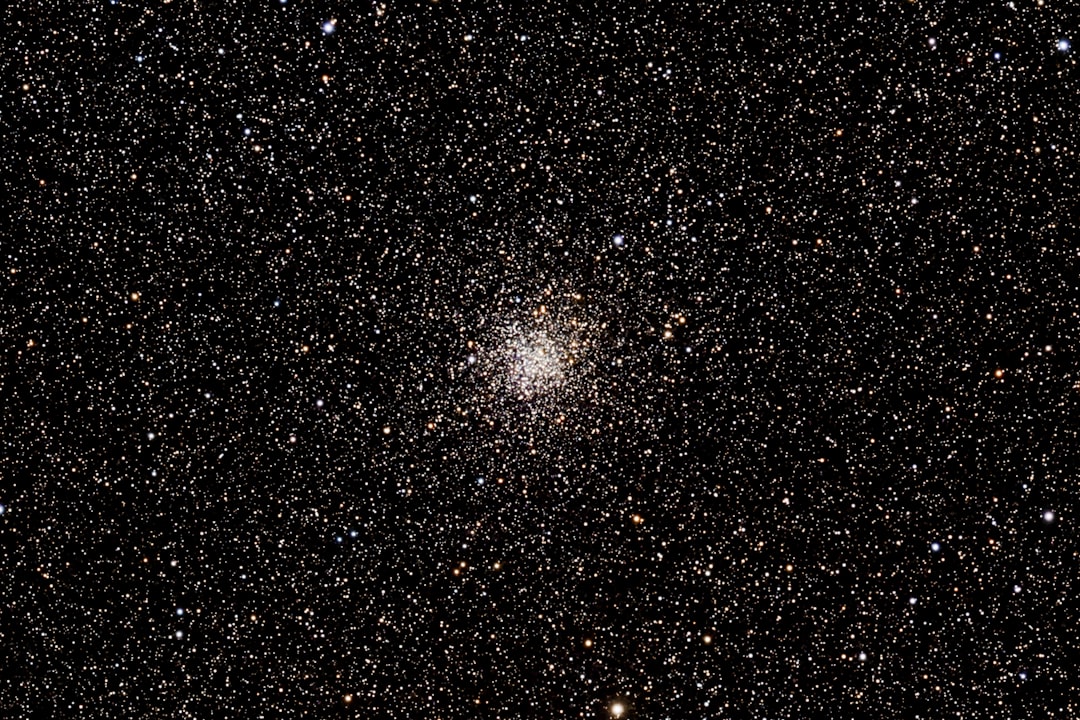 So gelingt das Büsche schneiden im eigenen Garten