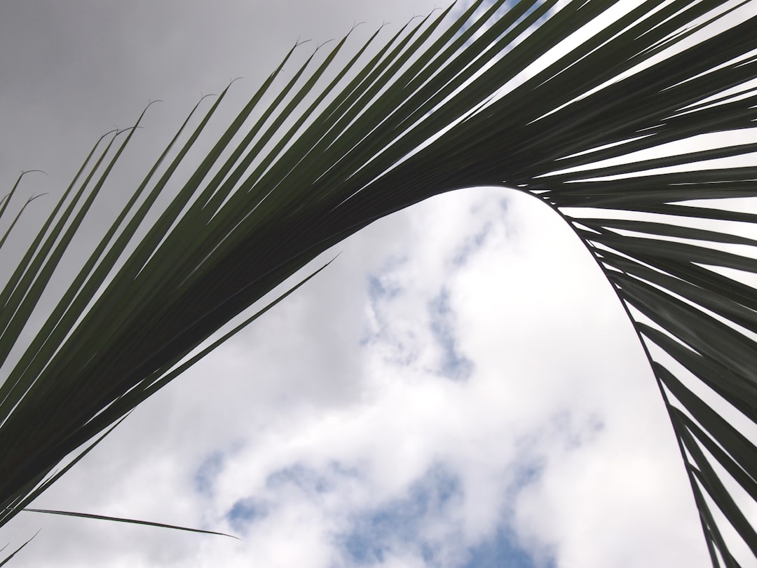 Der Begriff Diskrepanz und seine Bedeutung im Alltag